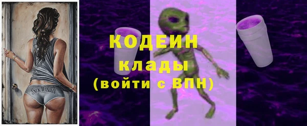 индика Абинск