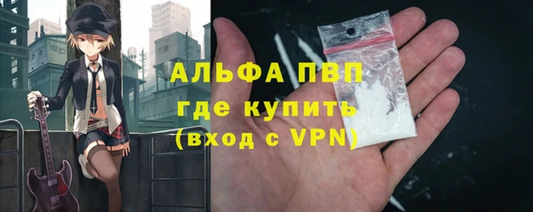 индика Абинск