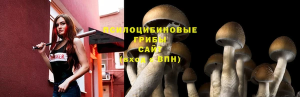 индика Абинск