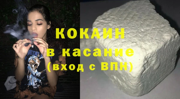 индика Абинск