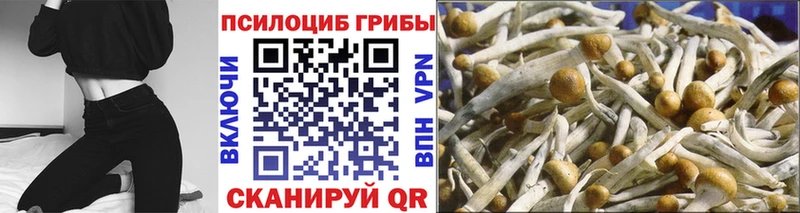 Псилоцибиновые грибы GOLDEN TEACHER  kraken рабочий сайт  Мамадыш 
